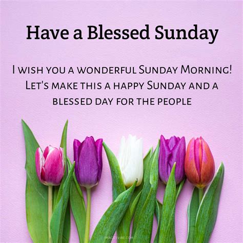 Best 30 Sunday Blessings Images And Quotes In 2024 Images Vibe