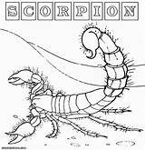 Scorpion Coloring Pages Print Desert Colorings Comments sketch template