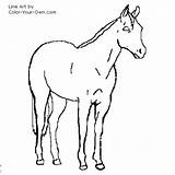 Horse Quarter Coloring Pages Mare Color Stock American Drawings Getcolorings Own Printable Designlooter Getdrawings 500px 76kb sketch template