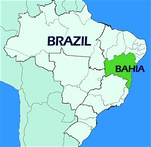 brazil bahia property launch  websites