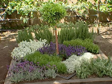 pin   herb gardening guide