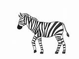 Zebra Draw Step Wikihow sketch template