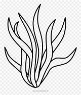 Seaweed Clipart Coloring Vhv sketch template