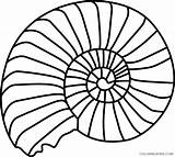 Shell Coloring4free Coloring Printable Pages Spiral Related Posts sketch template