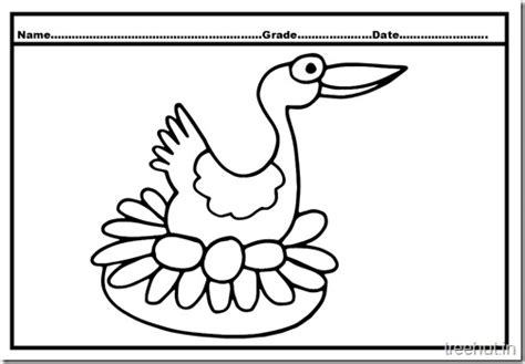 duck  duckling coloring pages