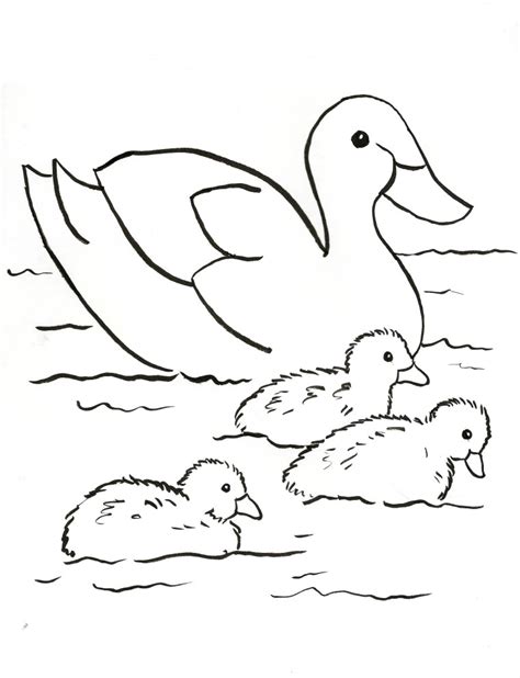 duck family coloring page samantha bell
