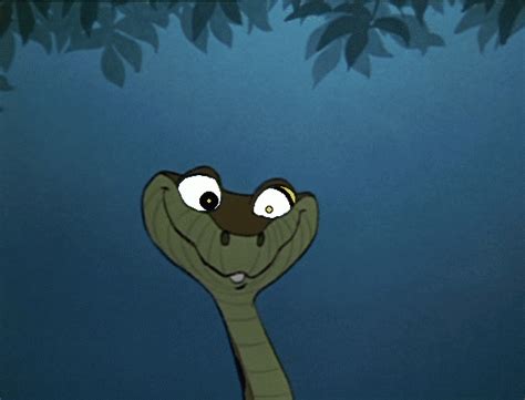 kaa find and share on giphy