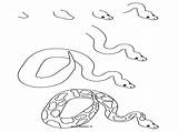 Python Simple Drawing Snake Draw Coloring Lizard Getdrawings sketch template