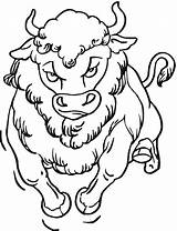Coloring Pages Buffalo Bison Head Drawing Wildlife Animals Face Getdrawings sketch template