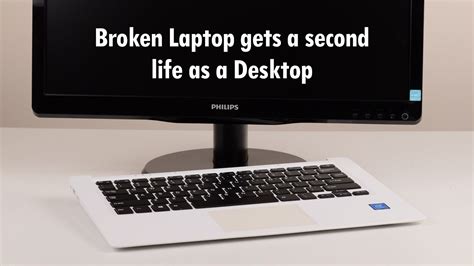 turn laptop  desktop zoombunny