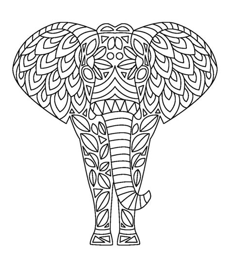 coloring pages  print elephant images  pinterest