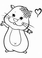 Coloring Pages Hamster Zhu Pets Cute Printable Coloriage Gerbil Info Color Anime Dwarf Getcolorings Print Comments sketch template
