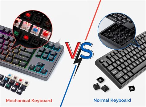 szakember kiallitas apaly arapaly difference  keyboard switches