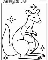 Kangaroo Coloring Tree Pages Outline Drawing Getdrawings Bare Leaves Without Getcolorings sketch template