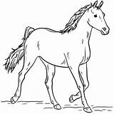 Colorir Cavalos Desenhos Clique sketch template
