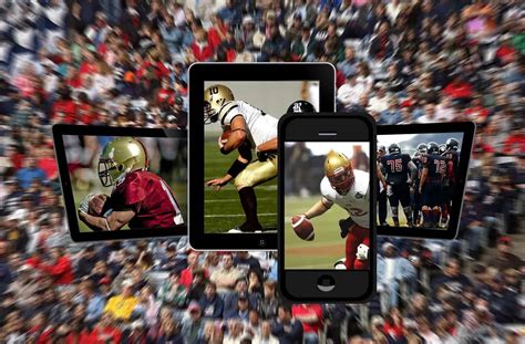 pay  head software helps create  thriving sportsbook industry