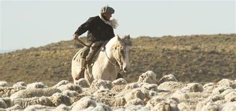 wool farm economics  wool farming iwto