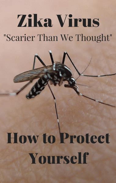 drs zika virus bigger threat than thought prediabetes