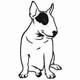 Bull Terrier English Coloring Dog sketch template