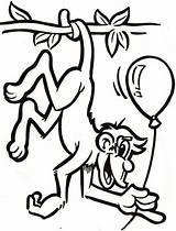 Macaco Monos Pintar Soprar Colgado Coloriage Bordar Dessiner Elefantes Bridg Wallis Orangutanes Gorilas Onça Tudodesenhos Arbol Término Designa Amplio Primates sketch template