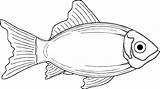 Ikan Liver Kabeljauw Laut Cod Vis Clipartkey Vinnen Webstockreview sketch template
