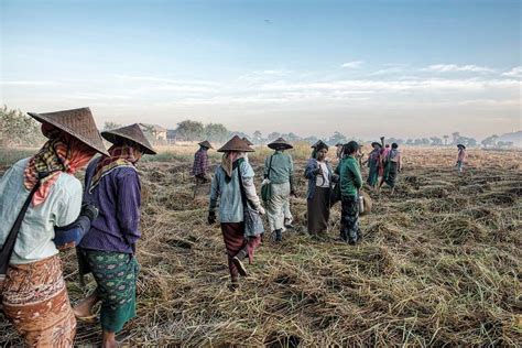 Poverty And The Drug Trade In Myanmar Laptrinhx News