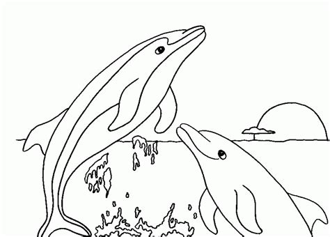 dolphin coloring pages  kids coloring home