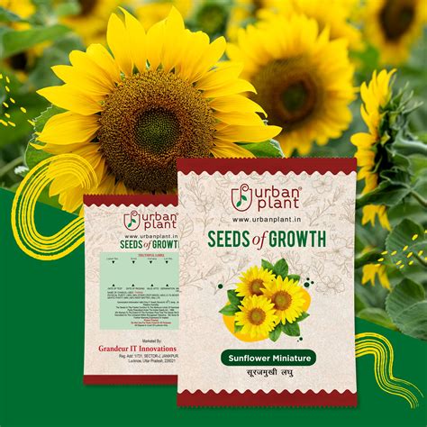 sunflower miniature flower seeds
