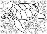 Colouring Starfish Turtles Seaside Rooftoppost sketch template