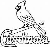 Logo Cardinals Louis St Coloring Mlb Drawing Outline Baseball Pages Arizona Decal Clip 49ers Cardinal Texans Clipartmag Comments sketch template