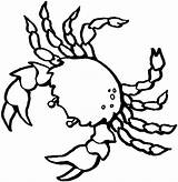 Crab Mud sketch template