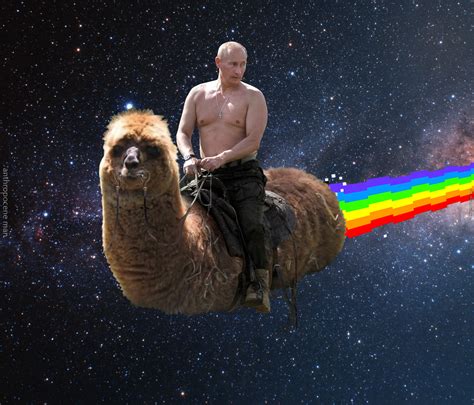Putin Rides Memes To Be Showcased At Dundee Exhibition The Courier