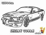 Mustang Shelby Gt500 Yescoloring Fierce sketch template