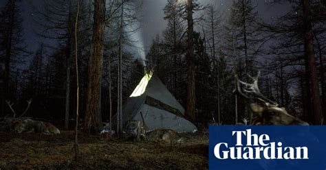 mongolia s reindeer herders in pictures news the guardian