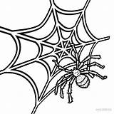 Spider Web Coloring Pages Charlotte Drawing Printable Colouring Iron Webs Color Kids Drwawing Cool2bkids Print Charlottes Clipartmag sketch template