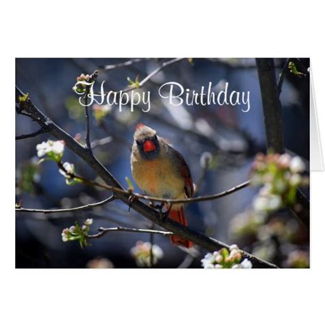happy birthday female cardinal  flowering tree card zazzle