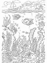 Reef Merveilles Mers sketch template