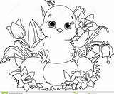 Coloring Hen Getdrawings Chicks Pages sketch template