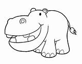 Hippopotamus Little Coloring Coloringcrew sketch template