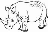 Rhinoceros Rhinocéros Rhino Imprimer Animal Rinocerontes Dessins Rinoceronte sketch template