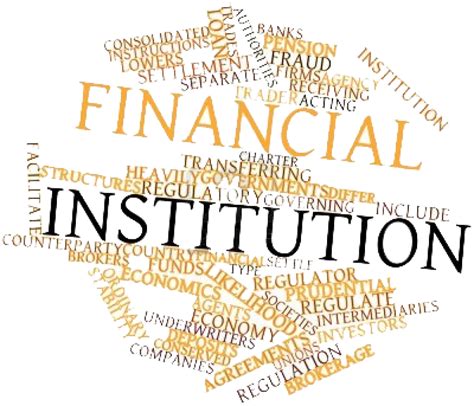 types  financial institutions  functions  riya rai medium