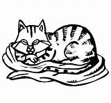 Bed Cat Coloring Coloringcrew Cats sketch template