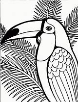 Parrot Coloring Pages Printable Kids Animal sketch template