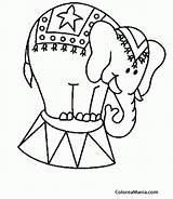 Circo Elefante Tarima Sabana sketch template