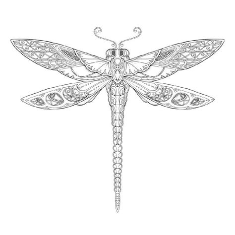 dragonfly coloring pages archives  coloring