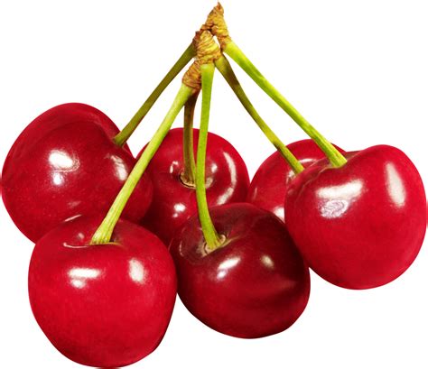 collection  hq cherry png pluspng