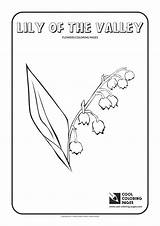 Valley Lily Coloring Pages Cool Print sketch template