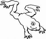 Frog Clipart Jumping Coloring Clip Pages Leaping Kids Outline Cliparts Drawing Tree Log Realistic Coqui Frogs Printable Color Draw Library sketch template