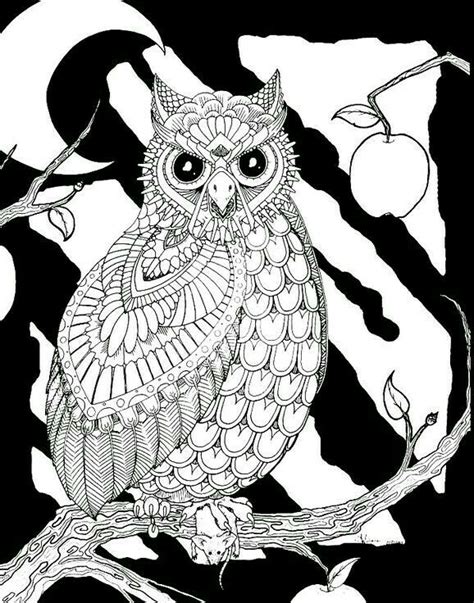 owl zentangle owl coloring pages colorful art pattern coloring pages