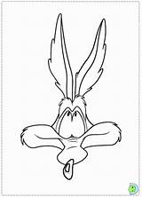 Coyote Looney Tunes Wile Wilie Roadrunner Coloringhome sketch template